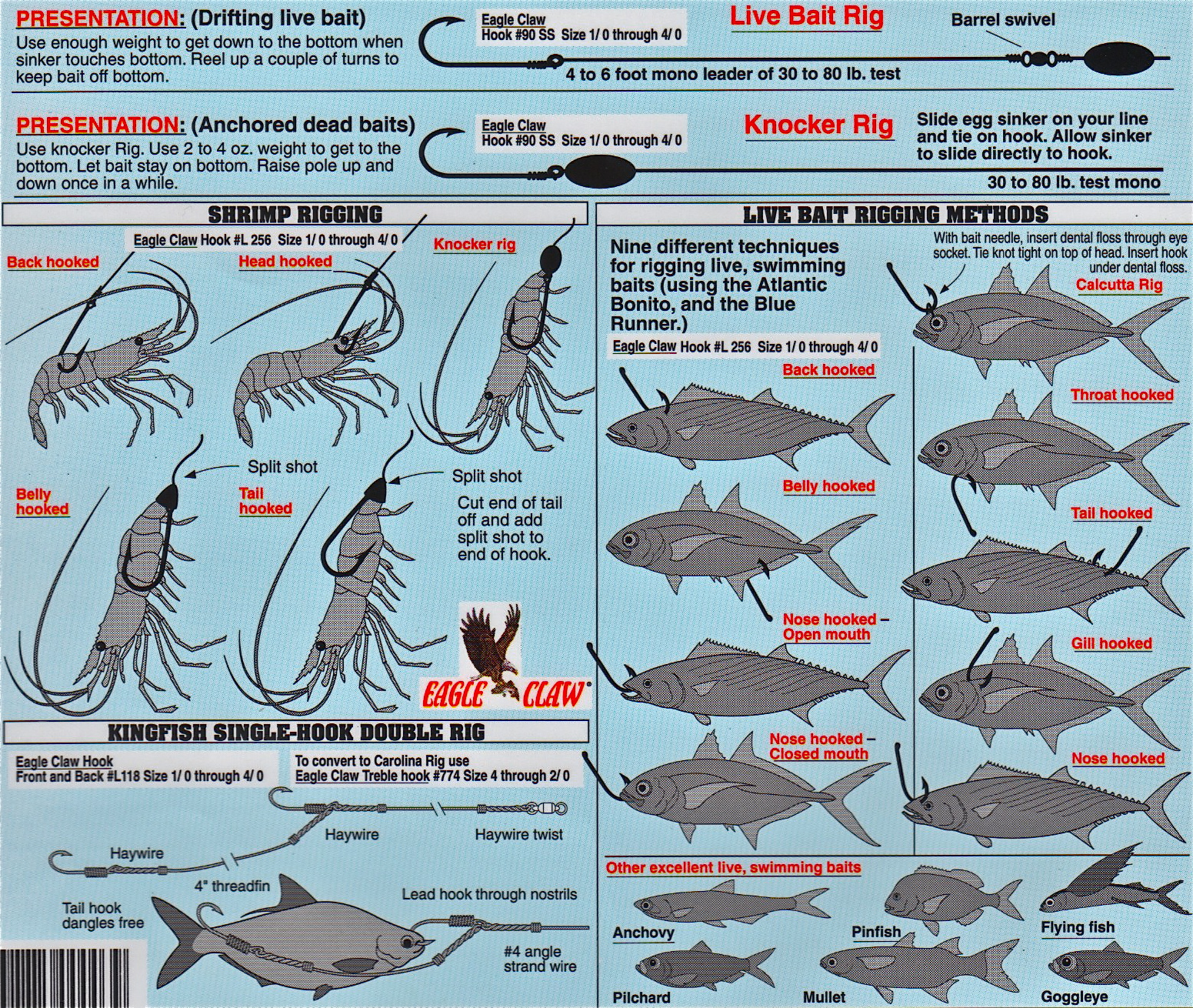 How to hook all types of baitfish
