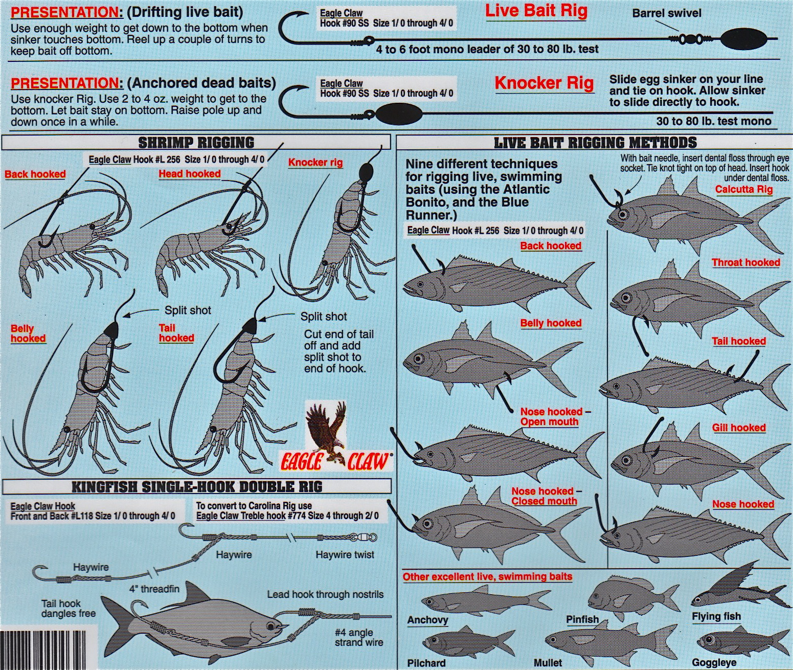 Live Bait Hook Size Chart