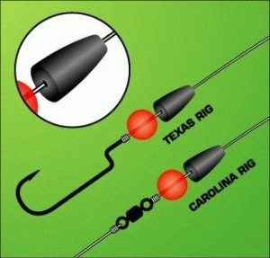 Carolina Rig: Todo lo que necesitas saber - Caza y Pesca | NCGo
