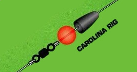 Carolina Rig: Everything You Need to Know - Hunting Fishing Gear